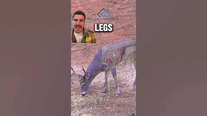 Way to put him down @HuntClubwithPhillipCulpepper ! #whitetail #deer #bowhunting