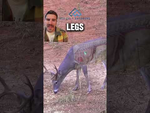 Way To Put Him Down HuntClubwithPhillipCulpepper Whitetail Deer Bowhunting 