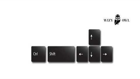 CTRL SHIFT ARROW | Excel | Wizy Owl