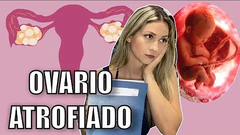É normal o ovário sumir?