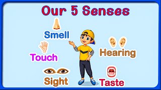 Exploring Our 5 Senses: A Kid-Friendly Exploration of Sight, Smell, Taste, Hearing, and Touch!