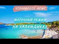 Дурдом в Греции - маски на пляжах! • Штрафы на Халкидиках • Греция • VivaNews