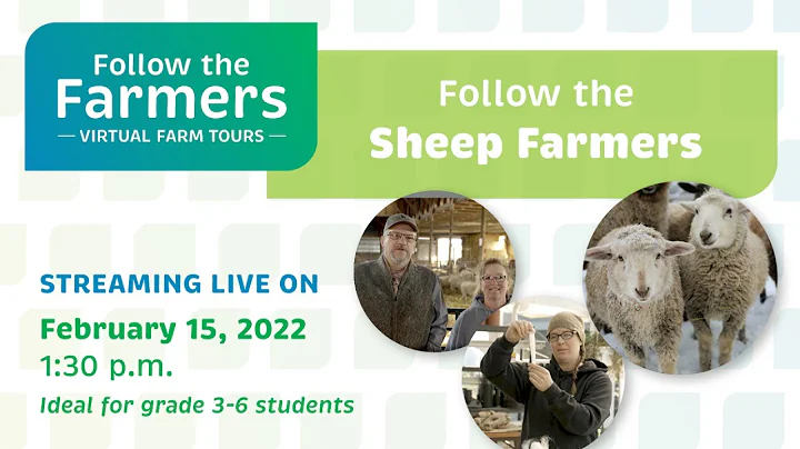 Follow the Farmers - Sheep