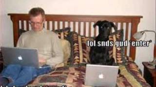 Random Funny Stuff 2