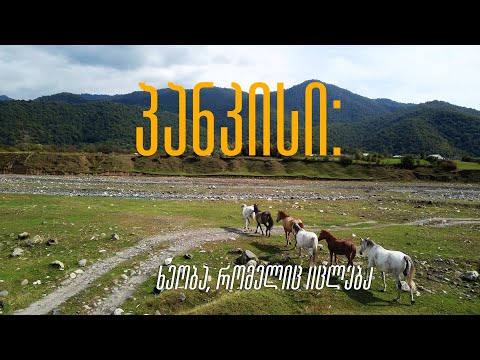 პანკისი: ხეობა, რომელიც იცლება