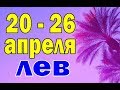 ЛЕВ  неделя с 20 по 26 апреля. Таро прогноз гороскоп гадание