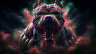 Eminem, 2Pac, Dr. Dre ,DMX ,Central Cee ...🔥 AGGRESSIVE RAP GYM WORKOUT MIX ft. Eminem , 2Pac ...
