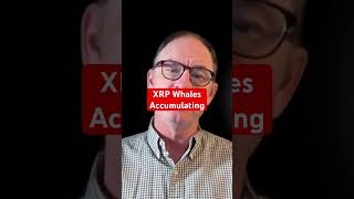 XRP Whales Accumulating #xrp #crypto @digitalassetinvestor