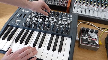 Arturia Minibrute & EHX Memory Boy