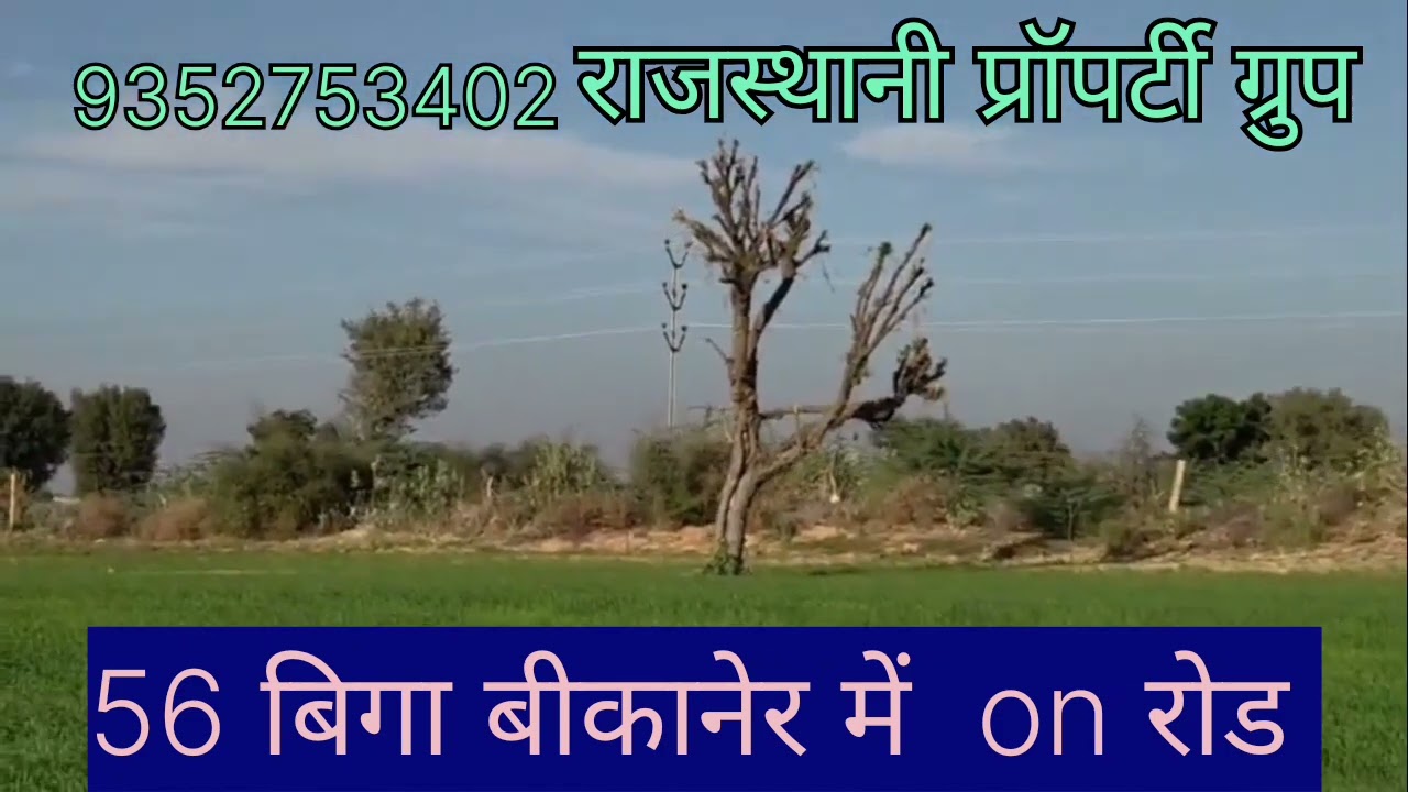 56 बिगा बीकानेर जिले में मीठा पानी ऑन रोड चार लाख अस्सी हजार रुपए पर बीगा