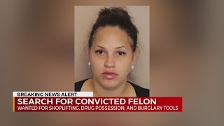 Search for convicted felon