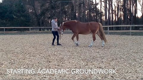 Minor learns academic groundwork, March 2020