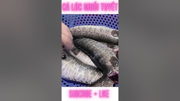Cá Lóc nướng muối tuyết | Món ngon cuối tuần #shorts
