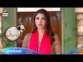 Watch Shehnai - Presented by Surf Excel Tonight at 9:00 PM Only on ARY Digital Online In Hd
