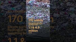 170 Trillion Plastic Pieces in the Ocean