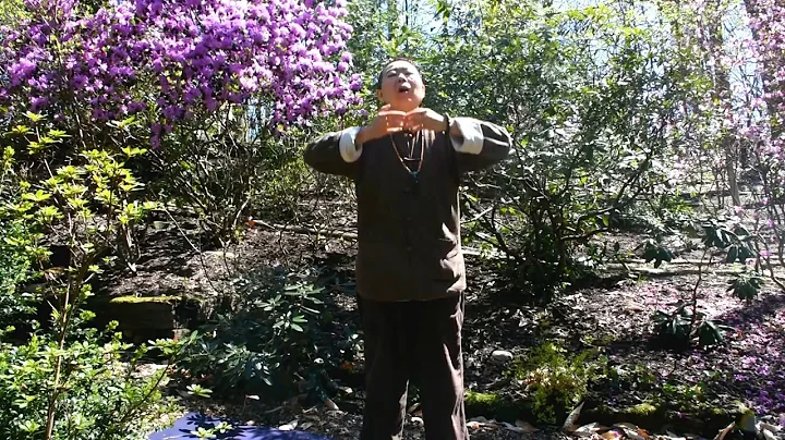 10 Energy Movements with Dr. Lu - DayDayNews