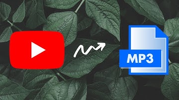 How to Easily Convert any Youtube Video into an MP3 or MP4 File