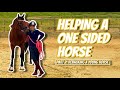 OTTB NEW HORSE GROUND WORK - A MUST DO BEFORE YOU GET ON - (Thoroughbred Horses) OTTB Series