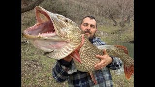 TURNA AVI 2018 ANKARA TROFE BİG PİKE