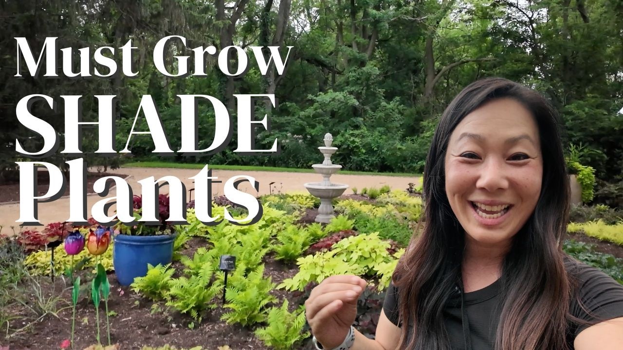 The BEST Shade Plants for 2026