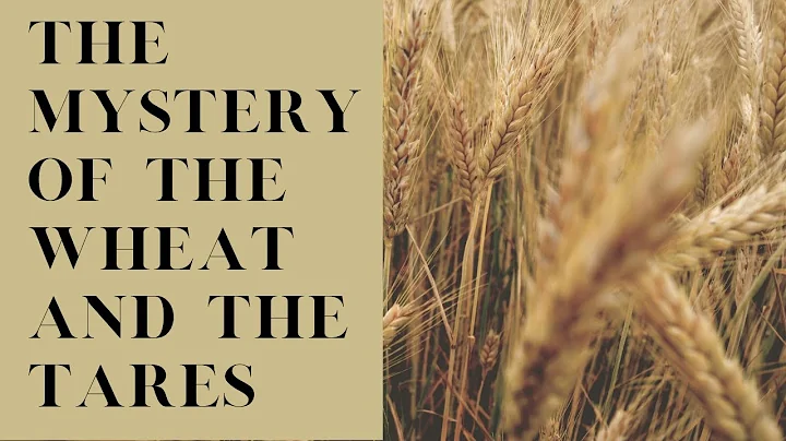 The Mystery of the Wheat and the Tares | Jeremiah ...