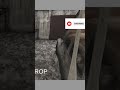 This Granny Bird Seed location breaks the game 🤡🐦 #gaming #exploit #shorts