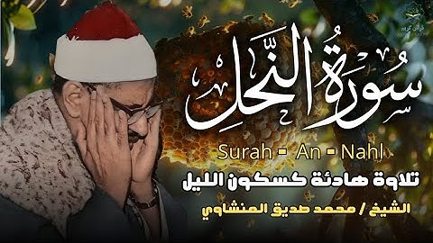 كأنه يبحر في بحر من الخشوع والسكينة سورة النحل كاملة الشيخ محمد صديق المنشاوي 🎧