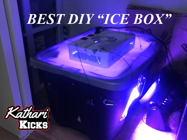 DIY: Sneaker Ice Box Tutorial, Under $100