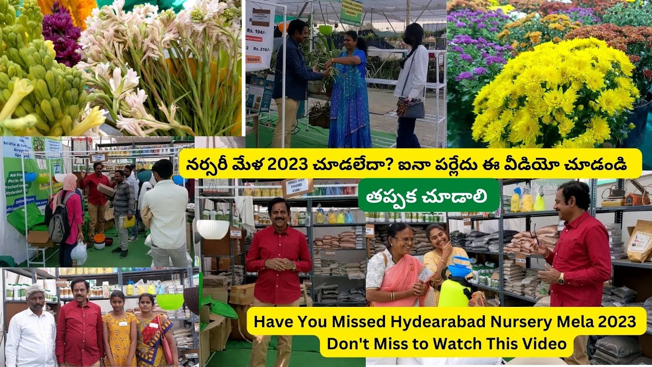 నర్సరీ మేళ 2023 చూడలేదా? ఐనా పర్లేదు ఈ వీడియో చూడండి | Nursery Mela 2023 | People's Plaza