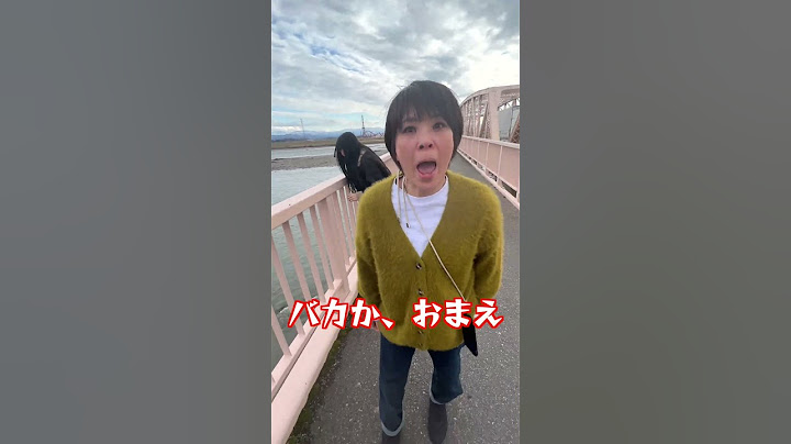 妹のiPhoneを橋の上から落としてみたww #shorts