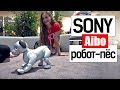 Играю с собакой за $3000! ЖИВОЙ ПЁС vs РОБОТ-собака Sony Aibo!