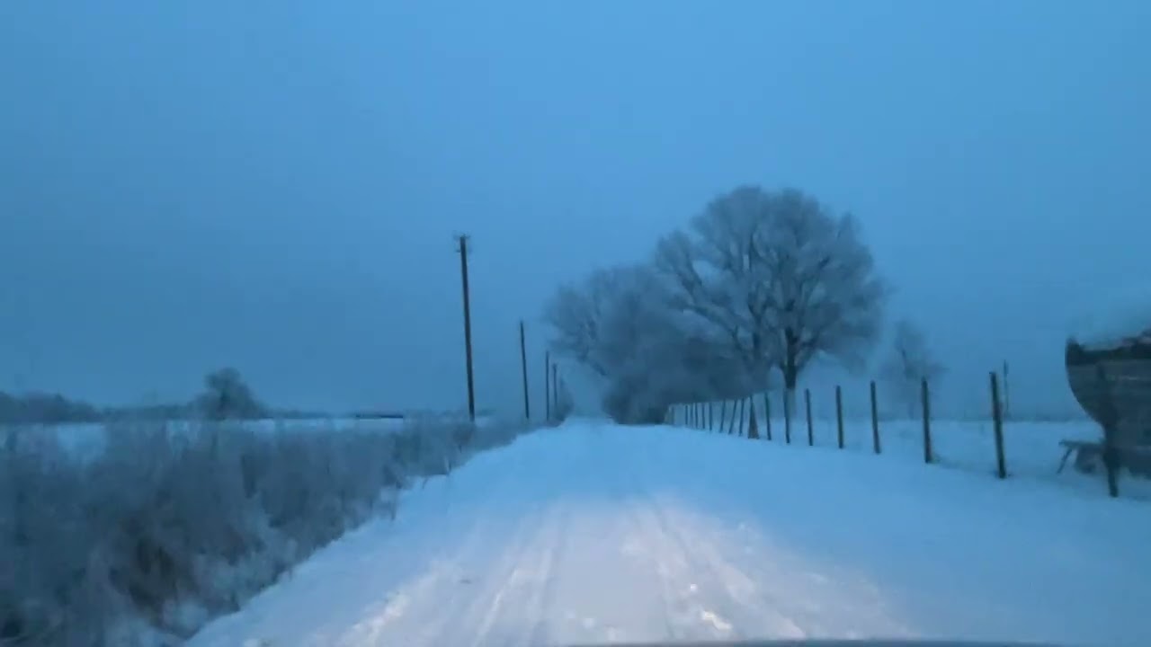 2026 Sausis, NVIS QSO