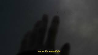 Slowheal - Under The Moonlight