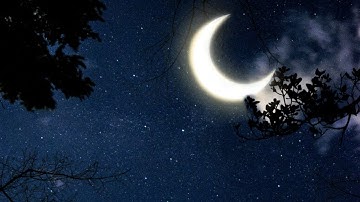 خواتيم سورة الزمر تلاوة الشيخ سعود الشريم