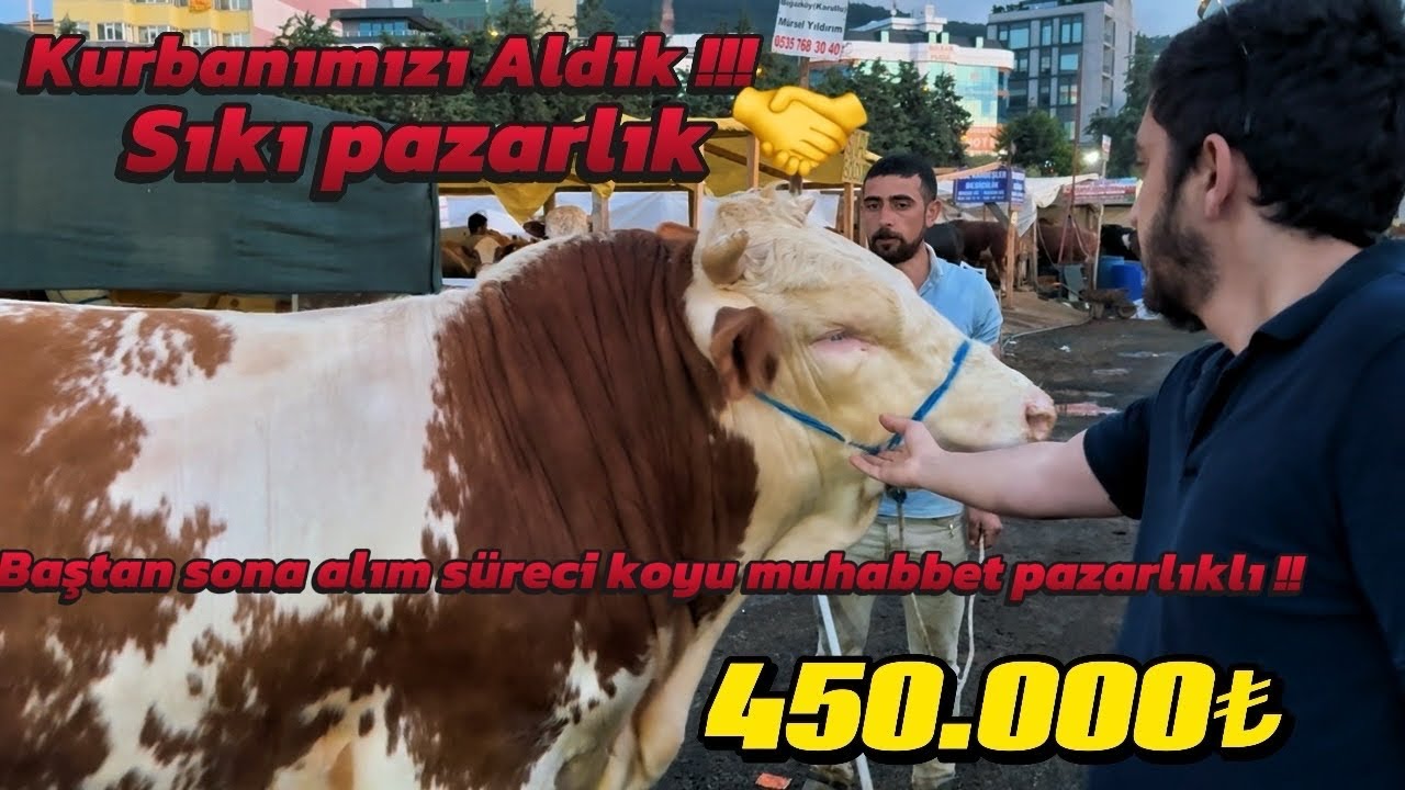2025 KURBAN PAZARLIGI !!Kurbanımızı Aldık Baştan Sona alım Koyu MuhabbetSıkı Pazarlıklı#kurban #2025