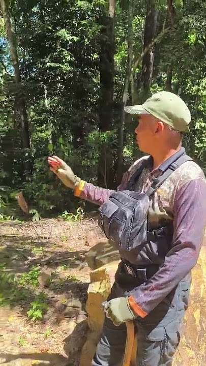 BACAAN SEBELUM MASUK HUTAN?