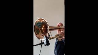 Download Lagu MOTION WAH for Trumpet MP3 Download Lagu MOTION WAH for Trumpet MP3