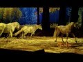 Cavalia, as seen by Normand Latourelle | Founder and Artistic Director