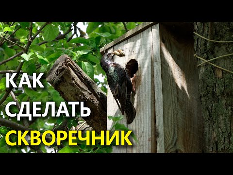 Скворечники для птиц своими руками чертежи