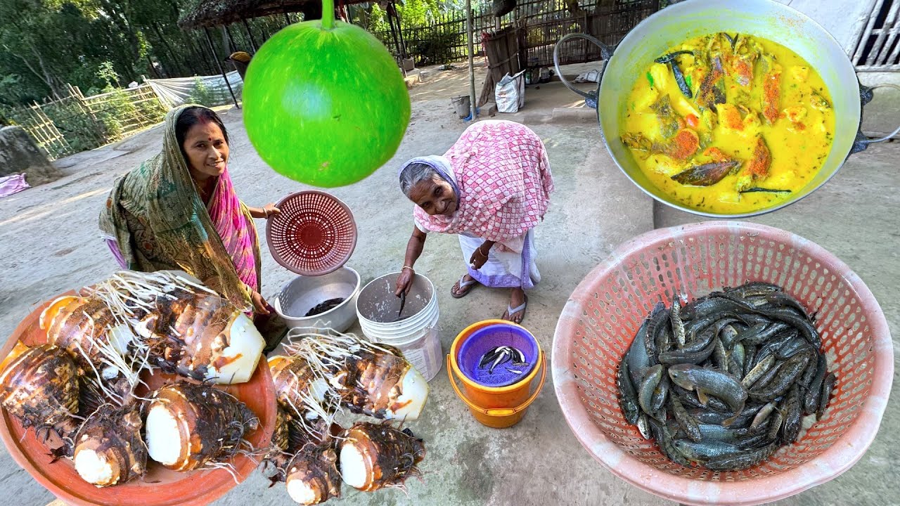 বাগান থেকে ঘট কচু তুলে মাঠের ল্যাঠা কৈ দিয়ে দারুন স্বাদে রান্না | Taro root with fish recipe