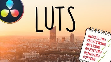 Working with LUTS in Davinci Resolve 16