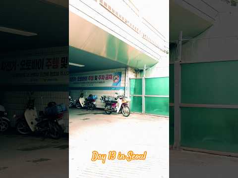 D13 : KQ building, Blue Bottle, YG building, BTS restaurant Yoojung Sikdang, Weak Hero famous spot