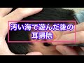 汚い海で遊んだ後の耳掃除/耳垢/綿棒