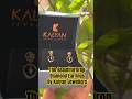 Beautiful Drop earrings by Kalyan Jewellers Mumbai! #gold #jewellery #designerjeweller