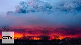 Лесные пожары в Канаде уничтожили уже полторы тысячи домов