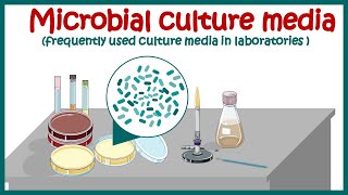 Bacterial culture media |classification and types of bacterial media | enriched \& differential media