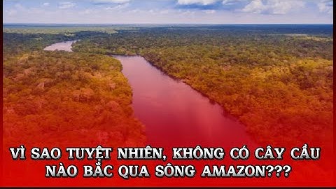 VÌ SAO TUYỆT NHIÊN KHÔNG CÓ CÂY CẦU NÀO BẮC QUA SÔNG AMAZON???