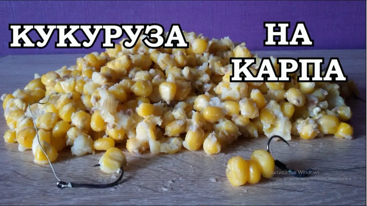 ЛУЧШАЯ КУКУРУЗА на КАРПА и всей МИРНОЙ РЫБЫ