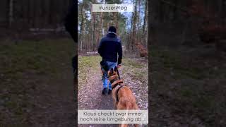 Leinenführigkeit lernen l Unser Weg mit Klausi 🤩 #shorts by DOGsTV - Online Hundetraining 7,729 views 3 months ago 1 minute, 21 seconds