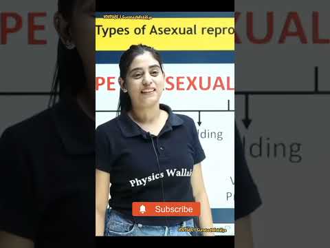 9 : 45 | Ft. Simmi Mam | ♥️ #physicswallah #shorts #udaan #pw #lofi #shortsfeed #viral